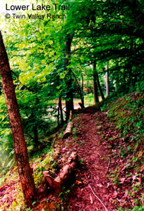 Trail riding or hiking on miles of beautiful trails like this one.