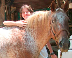 Taking care of "your" Twin Valley Ranch horse is all part of the fun ranch experience